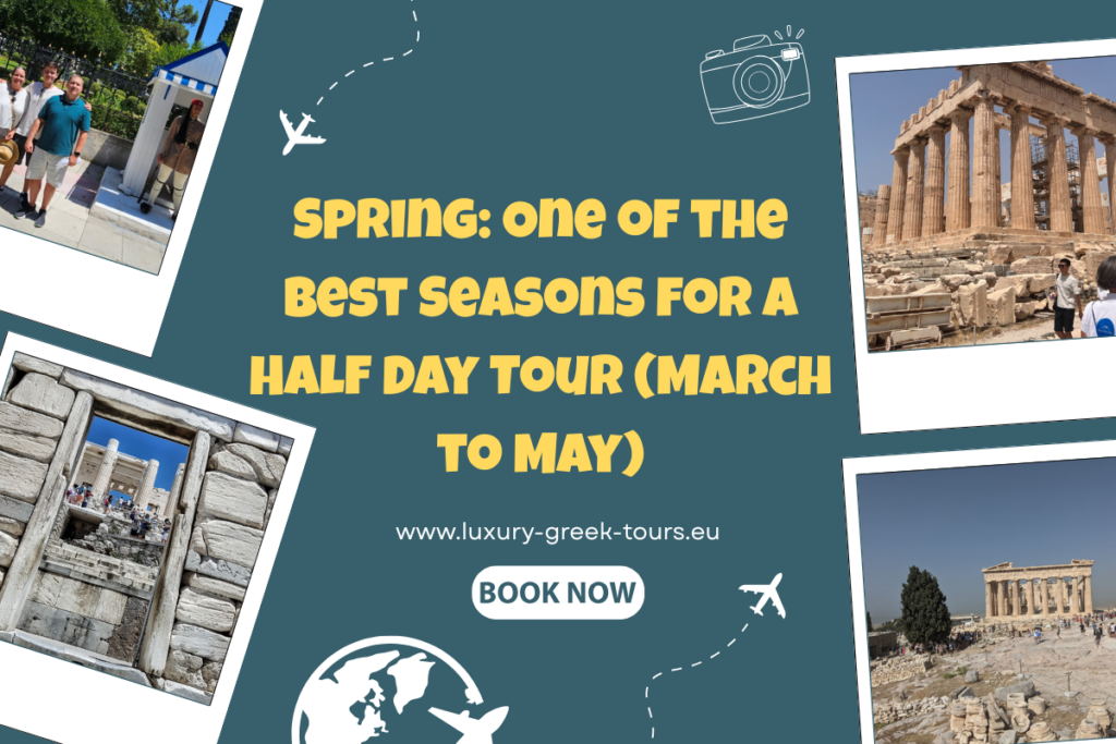 Spring: One of the Best Seasons for a Half Day Tour (March to May)